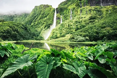 Lush natural waterfall
